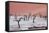 Dead Valley in Namibia-Andrushko Galyna-Framed Stretched Canvas