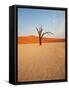 Dead Valley in Namibia-Andrushko Galyna-Framed Stretched Canvas