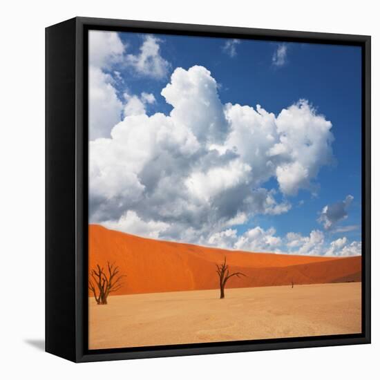 Dead Valley in Namibia-Andrushko Galyna-Framed Stretched Canvas