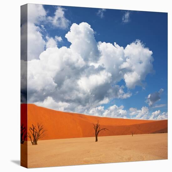 Dead Valley in Namibia-Andrushko Galyna-Stretched Canvas