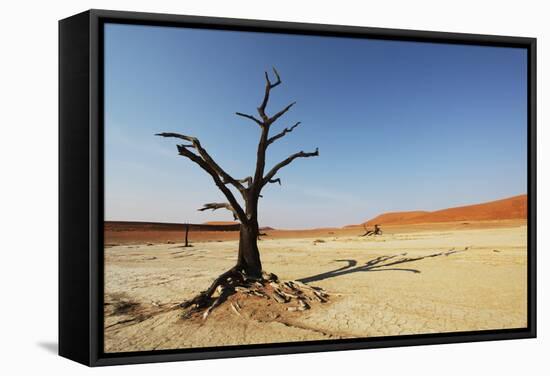 Dead Valley in Namibia-Andrushko Galyna-Framed Stretched Canvas