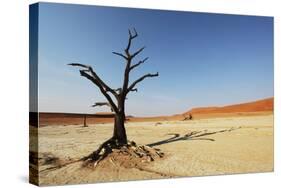 Dead Valley in Namibia-Andrushko Galyna-Stretched Canvas