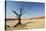 Dead Valley in Namibia-Andrushko Galyna-Stretched Canvas