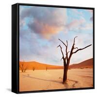 Dead Valley in Namibia-Andrushko Galyna-Framed Stretched Canvas