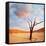 Dead Valley in Namibia-Andrushko Galyna-Framed Stretched Canvas