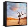 Dead Valley in Namibia-Andrushko Galyna-Framed Stretched Canvas