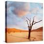 Dead Valley in Namibia-Andrushko Galyna-Stretched Canvas