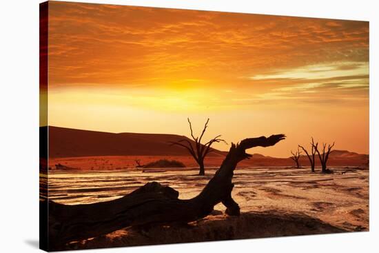 Dead Valley in Namibia-Andrushko Galyna-Stretched Canvas