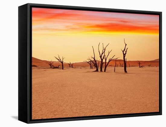 Dead Valley in Namibia-Andrushko Galyna-Framed Stretched Canvas