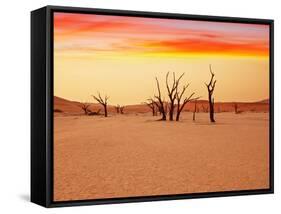 Dead Valley in Namibia-Andrushko Galyna-Framed Stretched Canvas