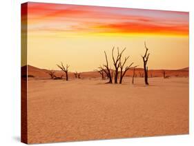 Dead Valley in Namibia-Andrushko Galyna-Stretched Canvas