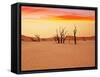 Dead Valley in Namibia-Andrushko Galyna-Framed Stretched Canvas