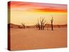 Dead Valley in Namibia-Andrushko Galyna-Stretched Canvas