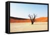 Dead Valley in Namibia-Andrushko Galyna-Framed Stretched Canvas