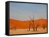 Dead Valley in Namibia-Andrushko Galyna-Framed Stretched Canvas