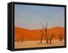 Dead Valley in Namibia-Andrushko Galyna-Framed Stretched Canvas