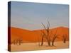 Dead Valley in Namibia-Andrushko Galyna-Stretched Canvas