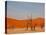 Dead Valley in Namibia-Andrushko Galyna-Stretched Canvas