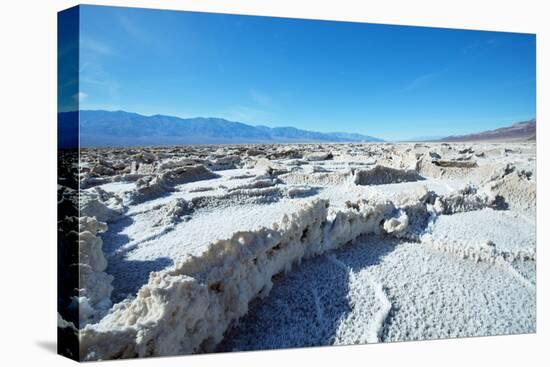 Dead Valley in Namibia-Andrushko Galyna-Stretched Canvas