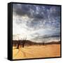 Dead Valley in Namibia-Andrushko Galyna-Framed Stretched Canvas