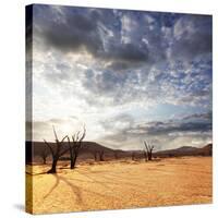 Dead Valley in Namibia-Andrushko Galyna-Stretched Canvas