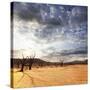 Dead Valley in Namibia-Andrushko Galyna-Stretched Canvas