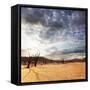 Dead Valley in Namibia-Andrushko Galyna-Framed Stretched Canvas