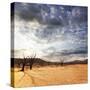 Dead Valley in Namibia-Andrushko Galyna-Stretched Canvas