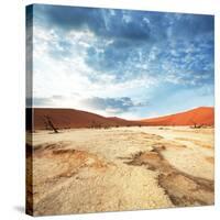 Dead Valley in Namibia-Andrushko Galyna-Stretched Canvas