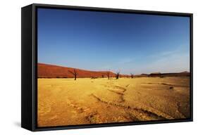 Dead Valley in Namibia-Andrushko Galyna-Framed Stretched Canvas