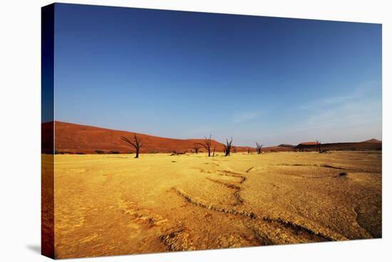 Dead Valley in Namibia-Andrushko Galyna-Stretched Canvas