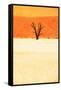 Dead Valley in Namibia-Andrushko Galyna-Framed Stretched Canvas