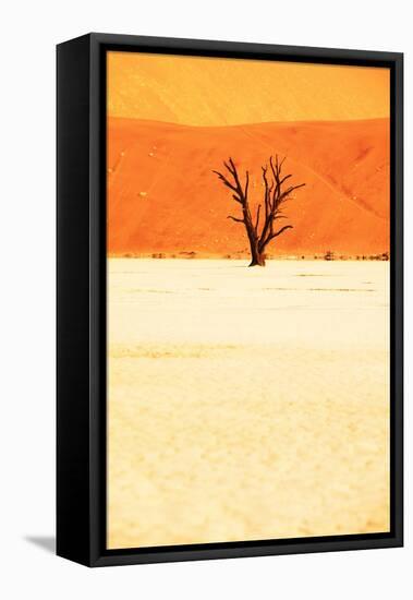 Dead Valley in Namibia-Andrushko Galyna-Framed Stretched Canvas