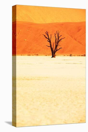 Dead Valley in Namibia-Andrushko Galyna-Stretched Canvas