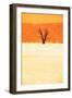 Dead Valley in Namibia-Andrushko Galyna-Framed Premium Photographic Print