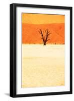 Dead Valley in Namibia-Andrushko Galyna-Framed Premium Photographic Print