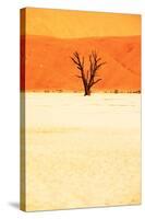 Dead Valley in Namibia-Andrushko Galyna-Stretched Canvas