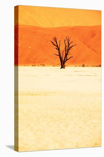 Dead Valley in Namibia-Andrushko Galyna-Stretched Canvas