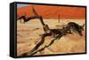 Dead Valley in Namibia-Andrushko Galyna-Framed Stretched Canvas