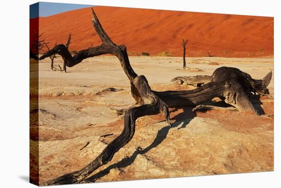 Dead Valley in Namibia-Andrushko Galyna-Stretched Canvas