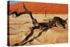 Dead Valley in Namibia-Andrushko Galyna-Stretched Canvas