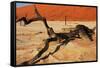 Dead Valley in Namibia-Andrushko Galyna-Framed Stretched Canvas