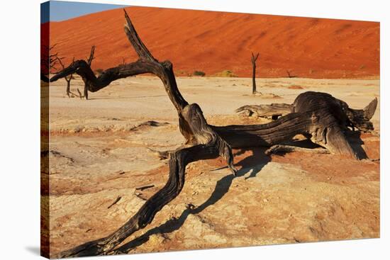 Dead Valley in Namibia-Andrushko Galyna-Stretched Canvas