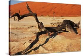 Dead Valley in Namibia-Andrushko Galyna-Stretched Canvas