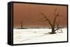 Dead Valley in Namibia-Andrushko Galyna-Framed Stretched Canvas