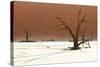 Dead Valley in Namibia-Andrushko Galyna-Stretched Canvas