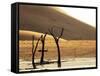 Dead Valley in Namibia-Andrushko Galyna-Framed Stretched Canvas