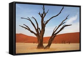 Dead Valley in Namibia-Andrushko Galyna-Framed Stretched Canvas