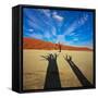 Dead Valley in Namibia-Andrushko Galyna-Framed Stretched Canvas