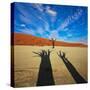 Dead Valley in Namibia-Andrushko Galyna-Stretched Canvas